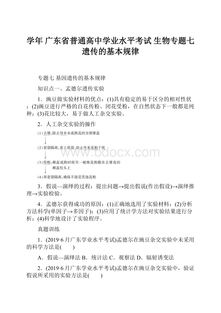 学年广东省普通高中学业水平考试生物专题七 遗传的基本规律.docx