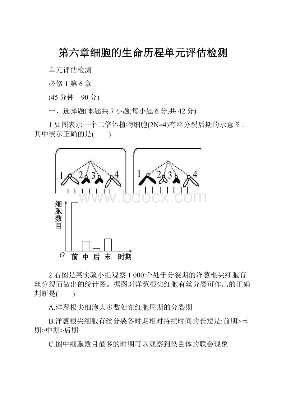 第六章细胞的生命历程单元评估检测.docx_第1页