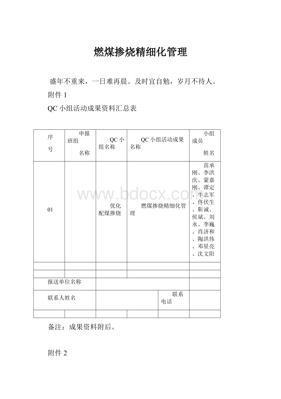 燃煤掺烧精细化管理.docx