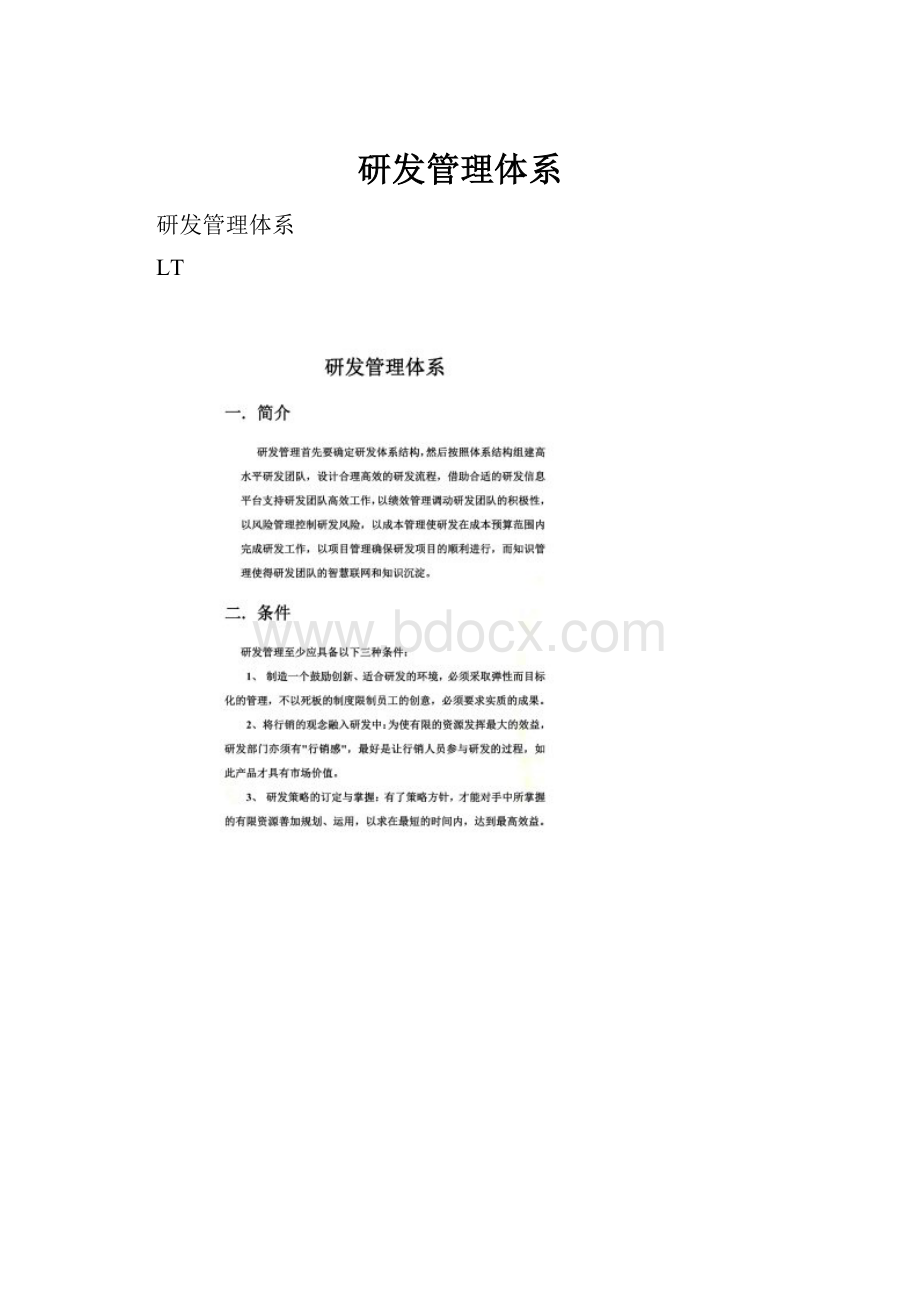 研发管理体系.docx