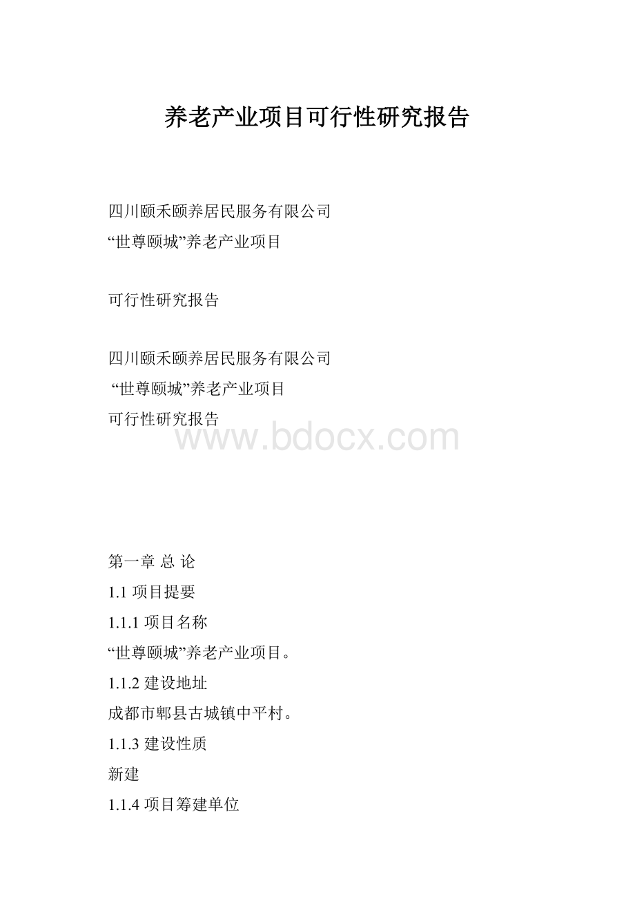 养老产业项目可行性研究报告.docx_第1页