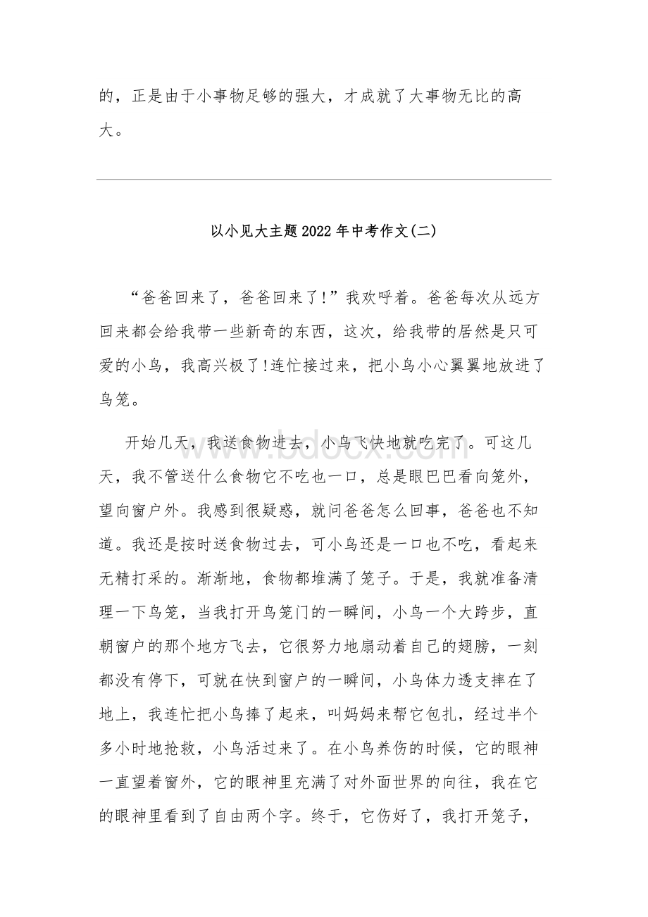 2022年徐州中考作文以小见大600字 以小见大作文初中三篇.docx_第3页