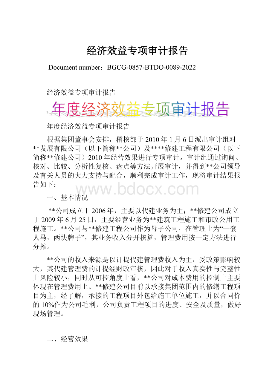 经济效益专项审计报告.docx_第1页