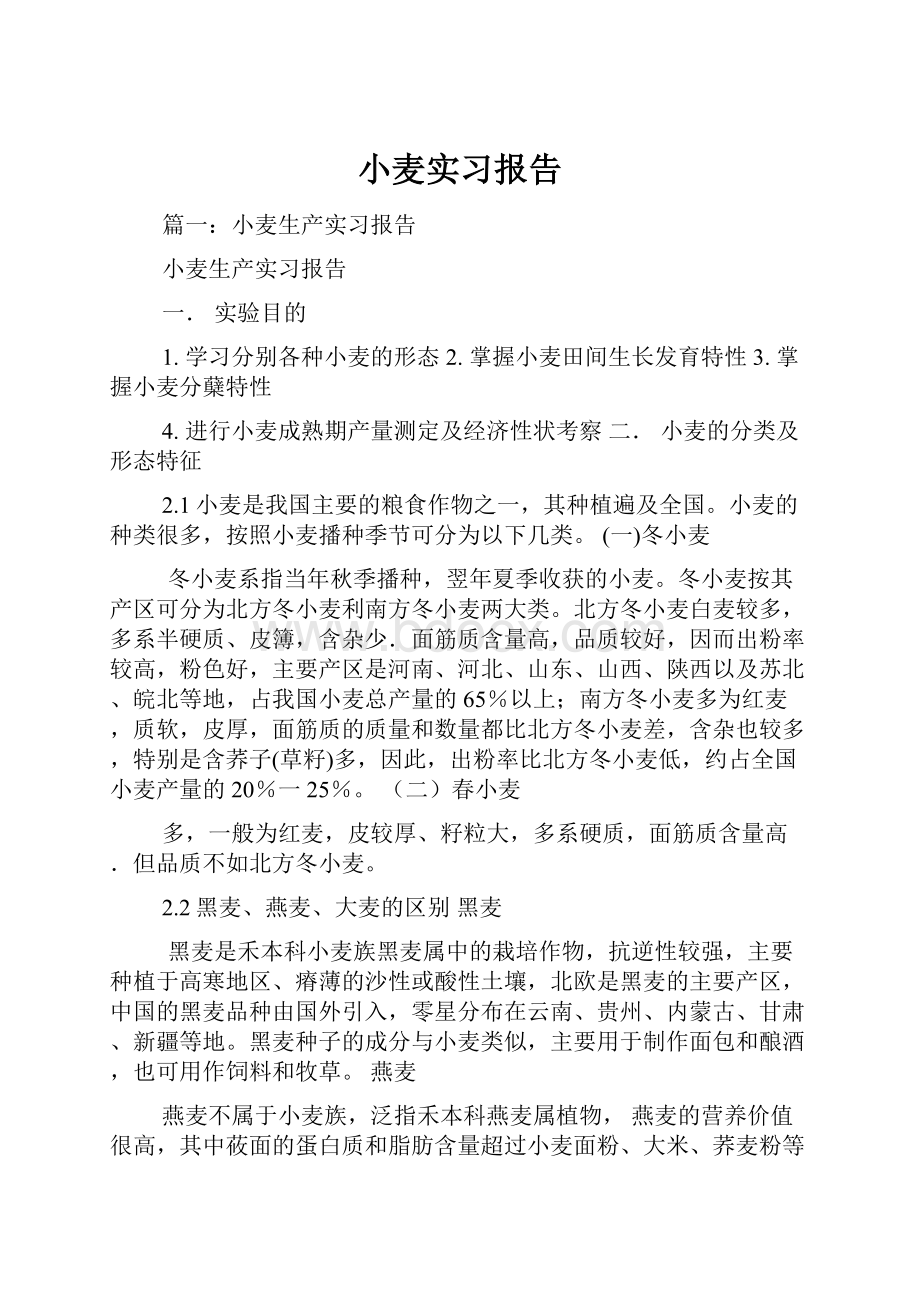 小麦实习报告.docx_第1页