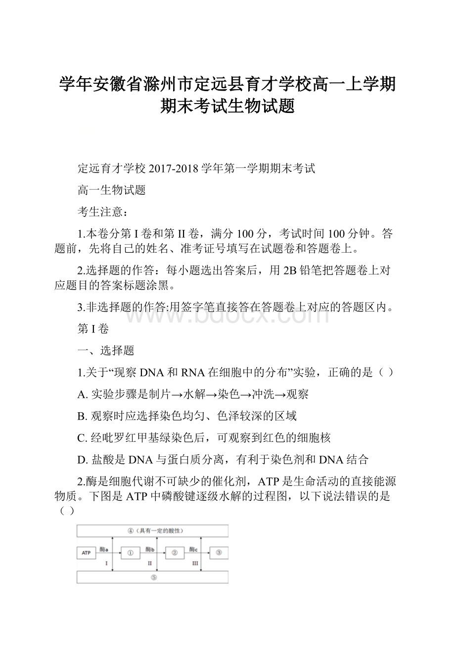 学年安徽省滁州市定远县育才学校高一上学期期末考试生物试题.docx_第1页