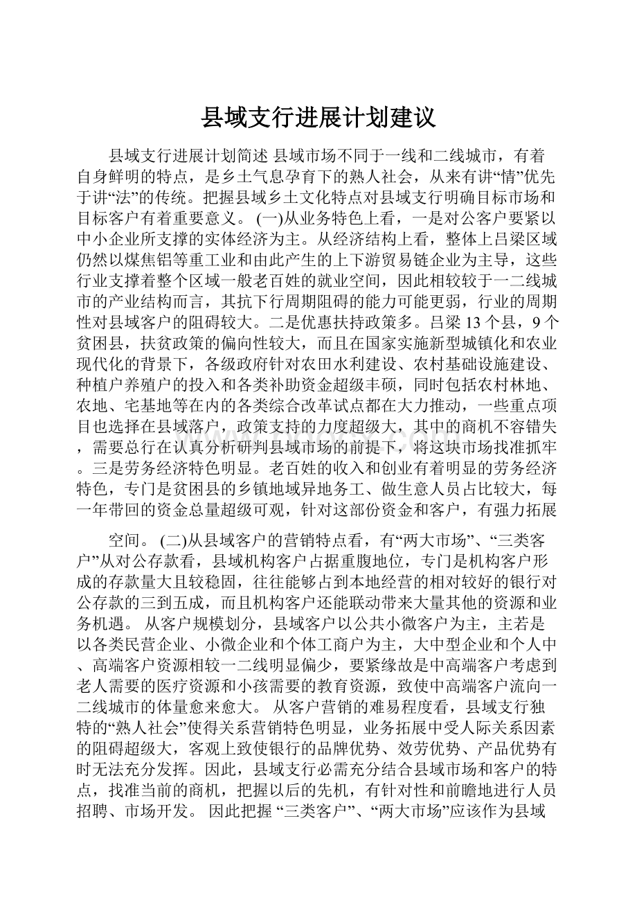 县域支行进展计划建议.docx_第1页