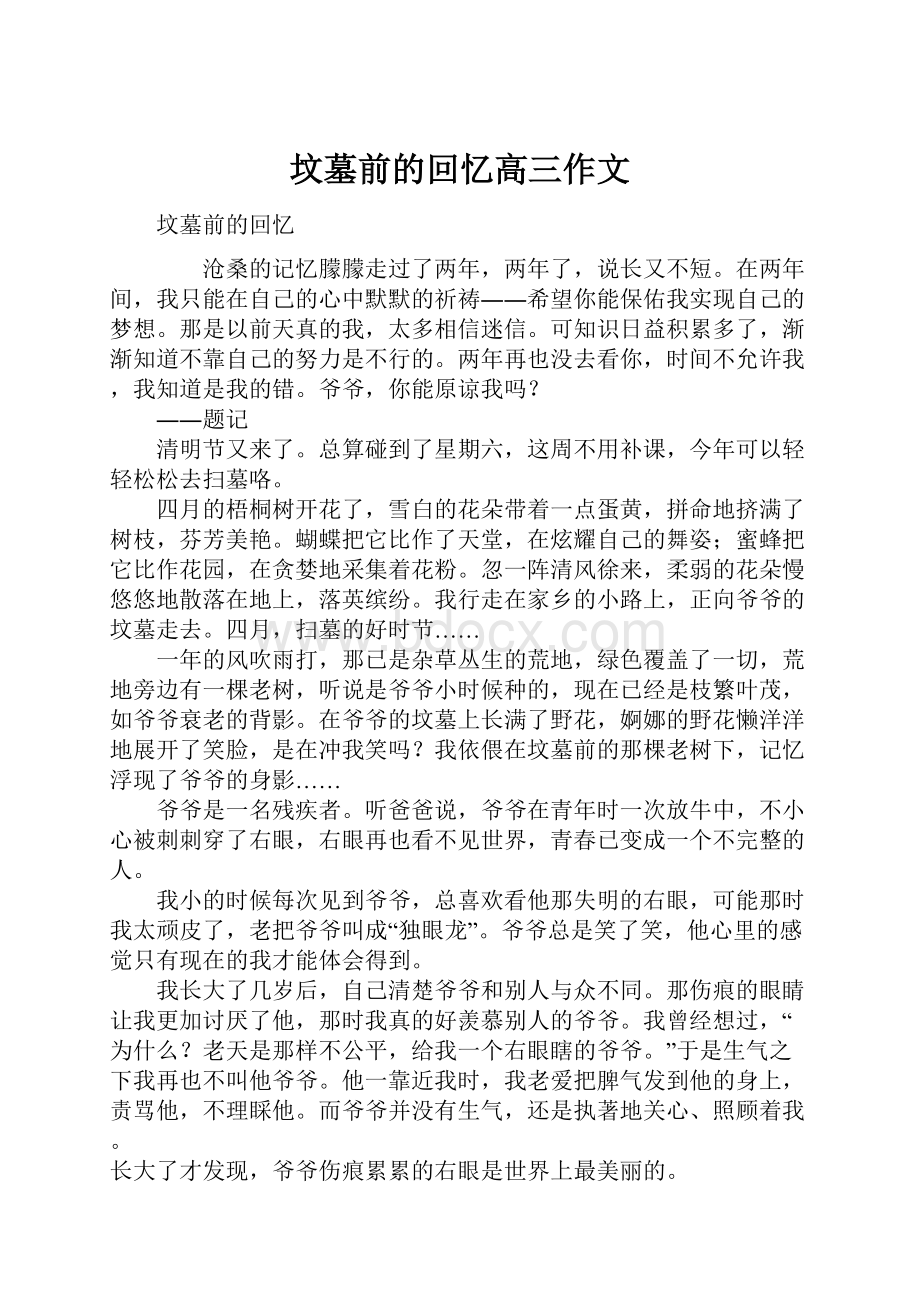 坟墓前的回忆高三作文.docx_第1页