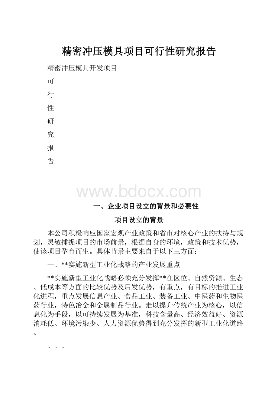 精密冲压模具项目可行性研究报告.docx_第1页