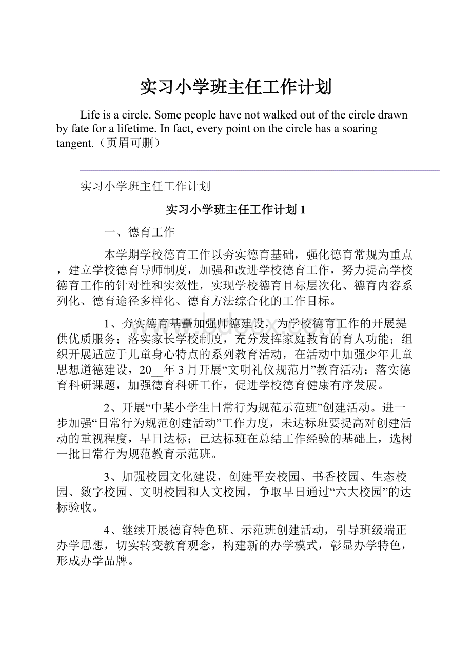 实习小学班主任工作计划.docx