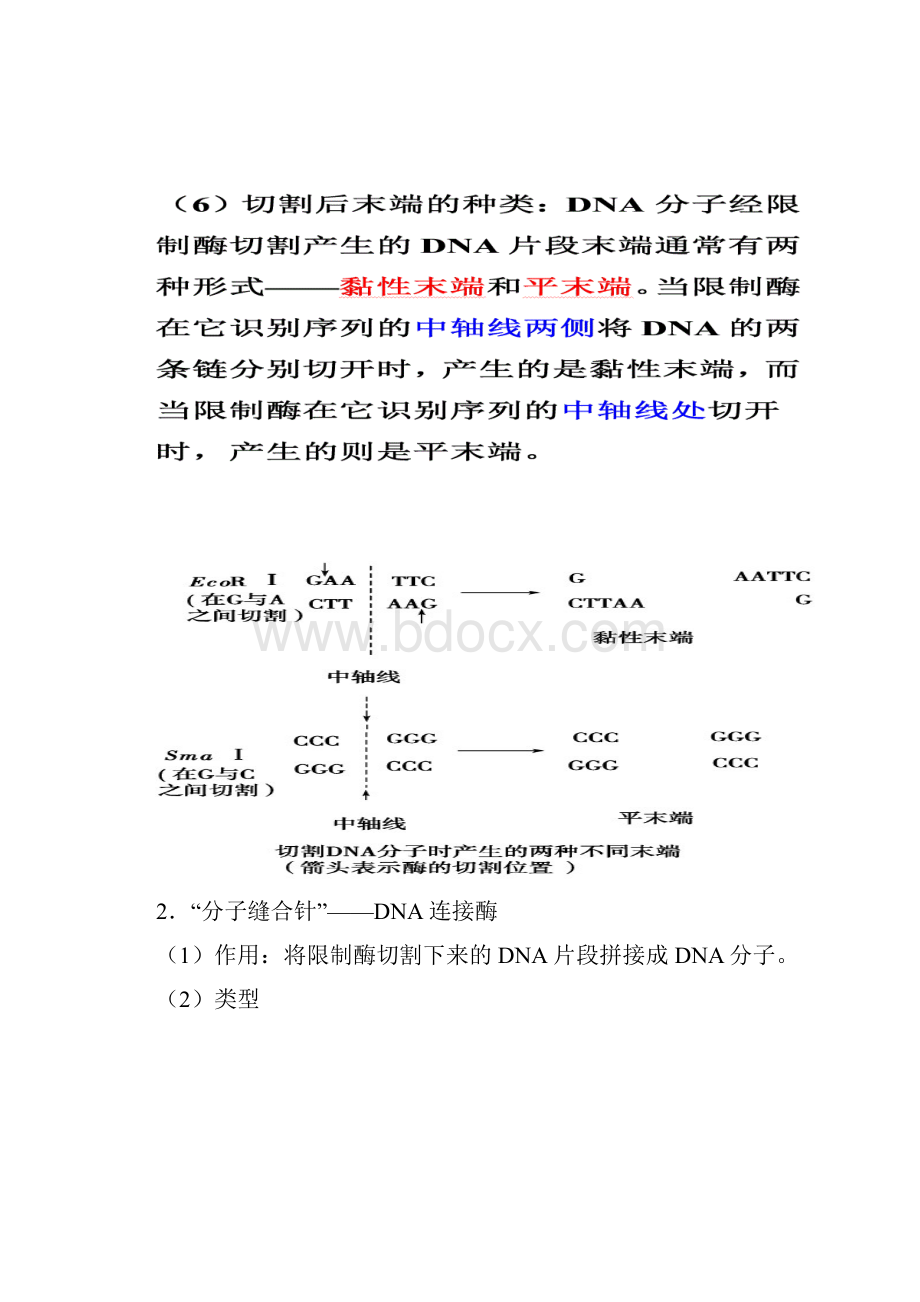 基因工程知识点 超全.docx_第3页