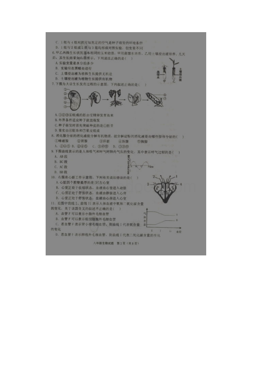 江苏省淮安市南马厂乡初级中学学年八年级生物下学期期末考试试题扫描版 新人教版.docx_第2页