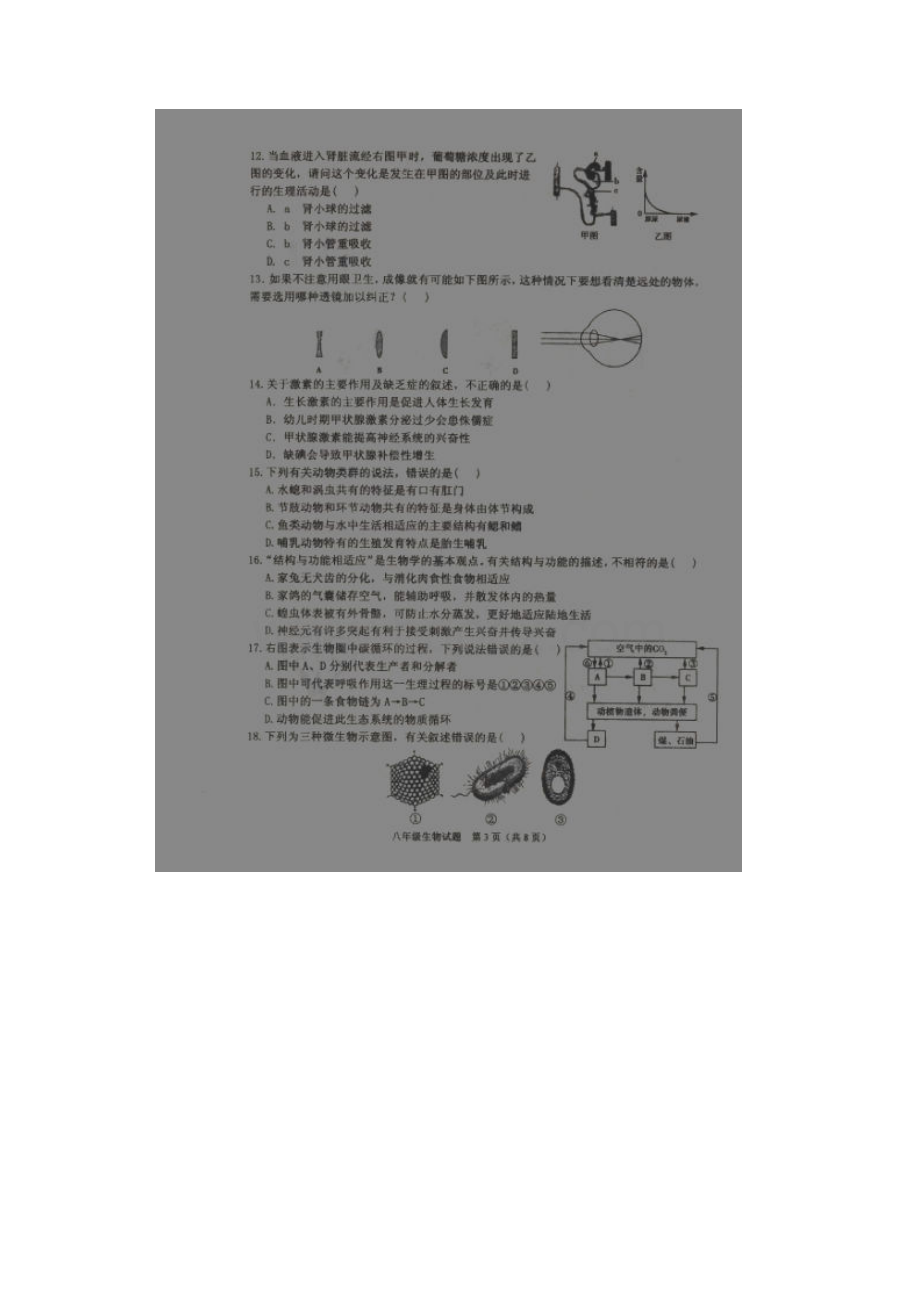 江苏省淮安市南马厂乡初级中学学年八年级生物下学期期末考试试题扫描版 新人教版.docx_第3页