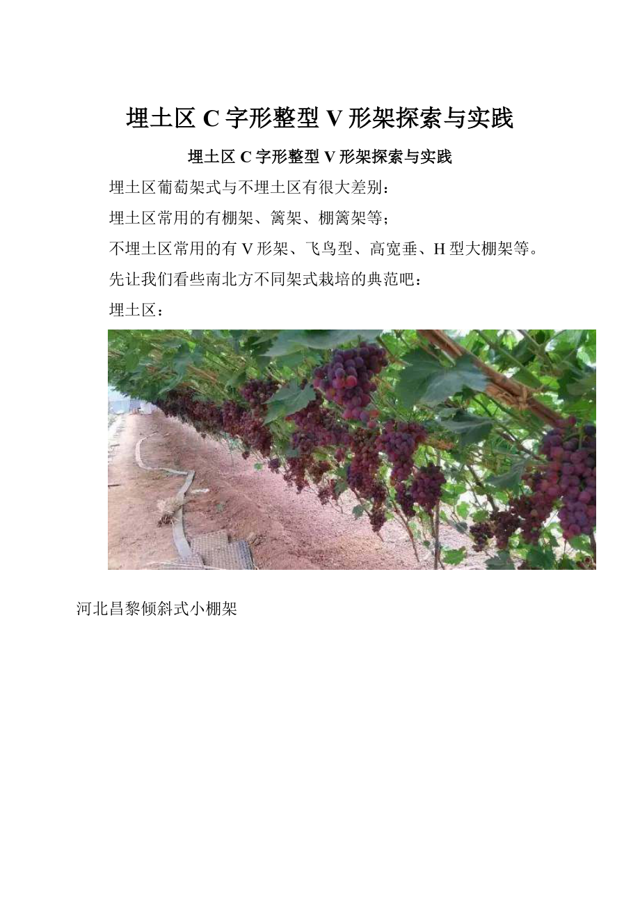 埋土区C字形整型V形架探索与实践.docx_第1页