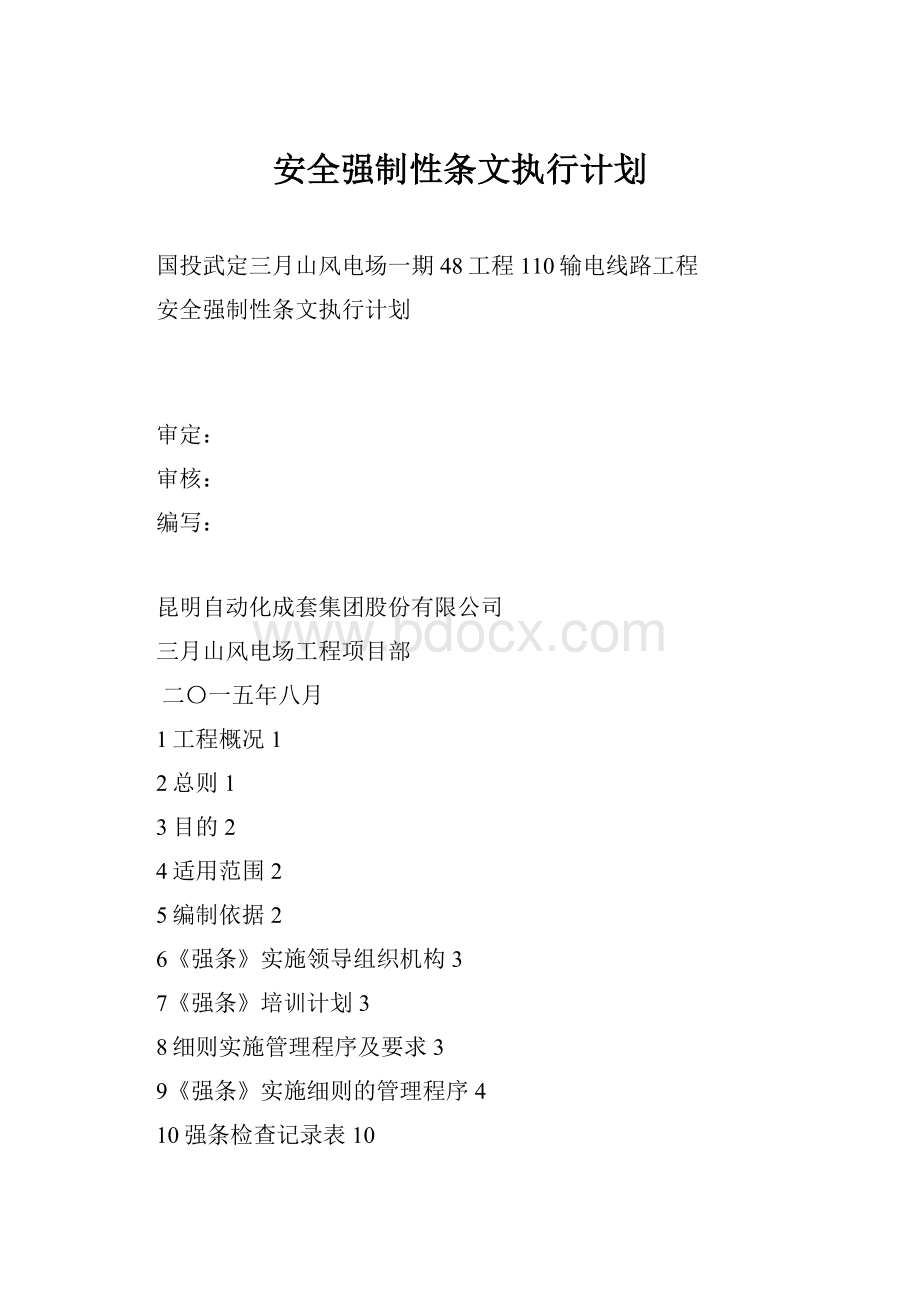 安全强制性条文执行计划.docx_第1页