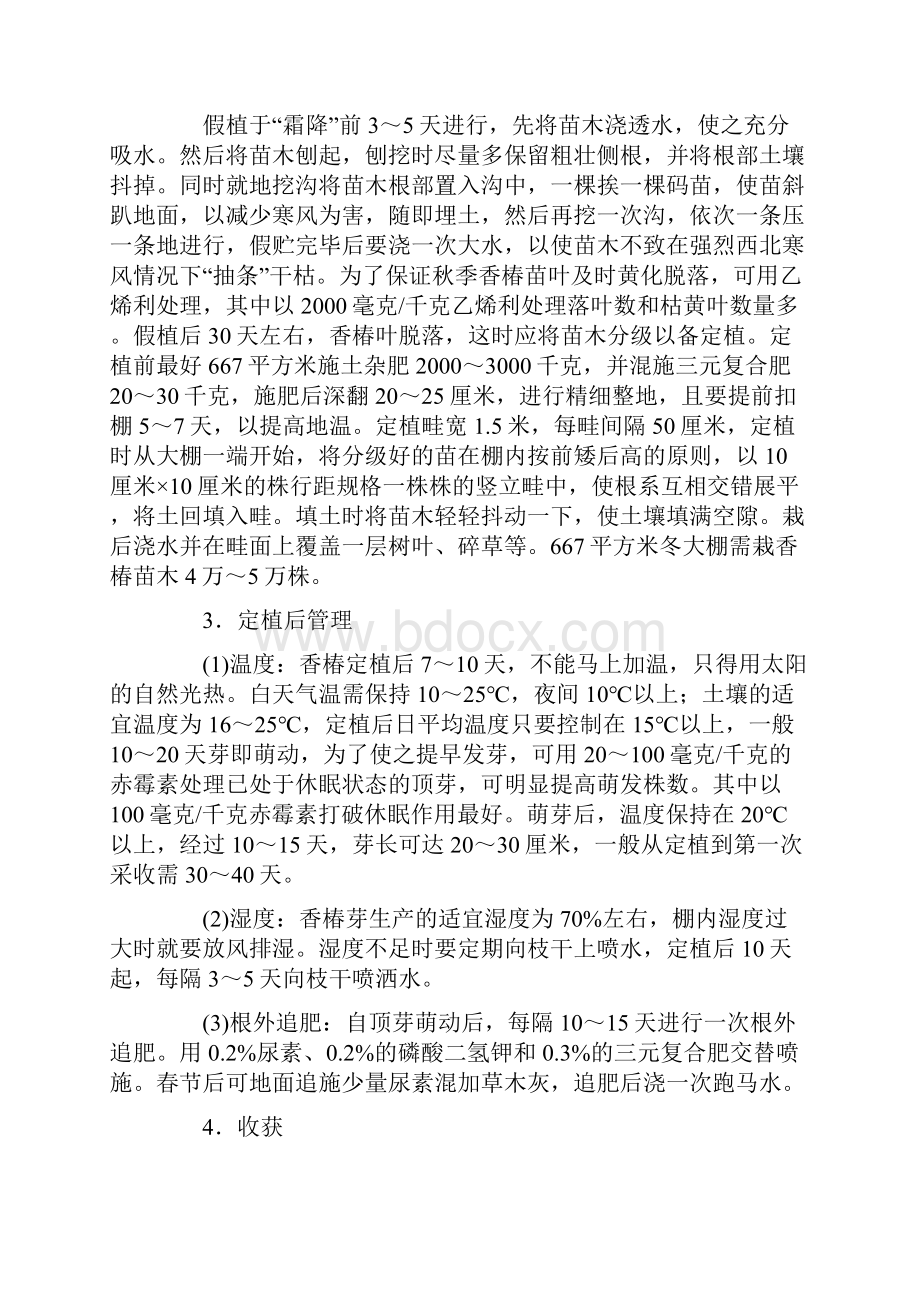 红椿大棚育苗栽培技术.docx_第2页