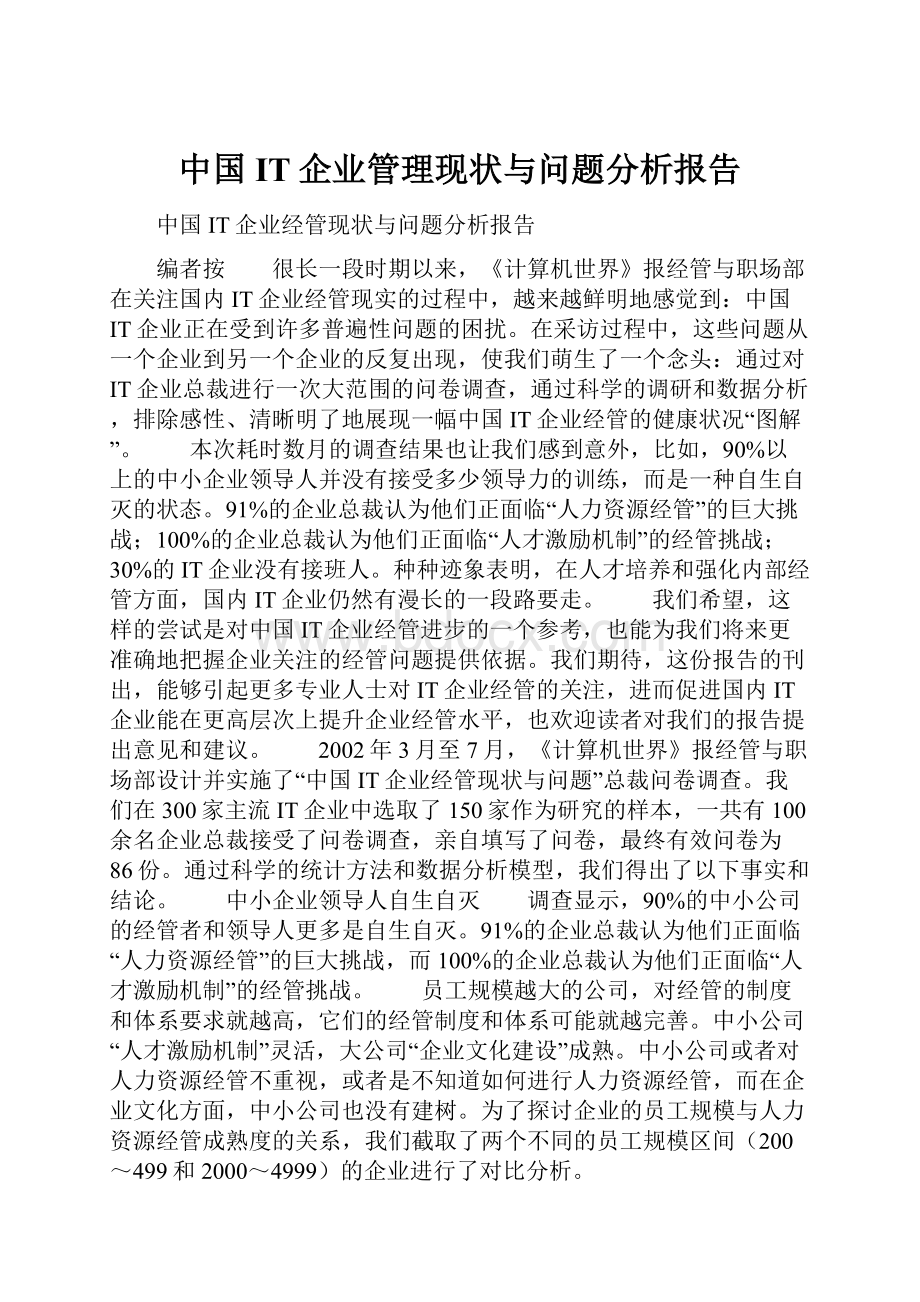 中国IT企业管理现状与问题分析报告.docx