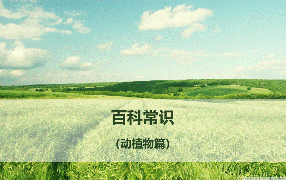 百科常识(动植物)ppt.pptx