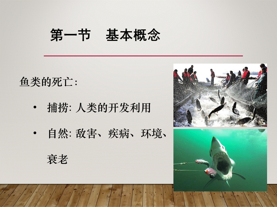 《生物资源评估》鱼类的死亡.ppt_第2页