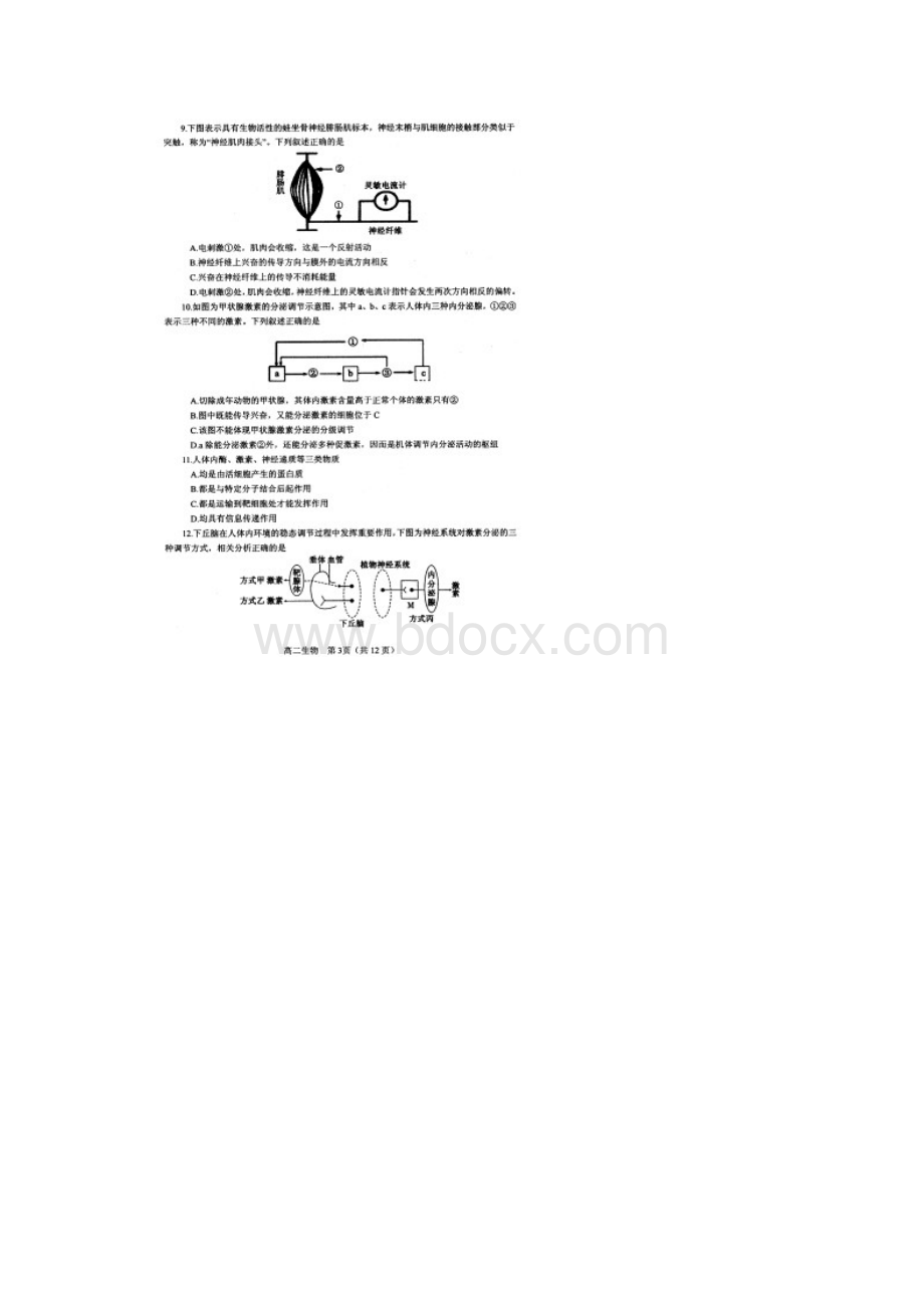 学年河南省南阳市高二上学期期中考试生物试题扫描版.docx_第3页