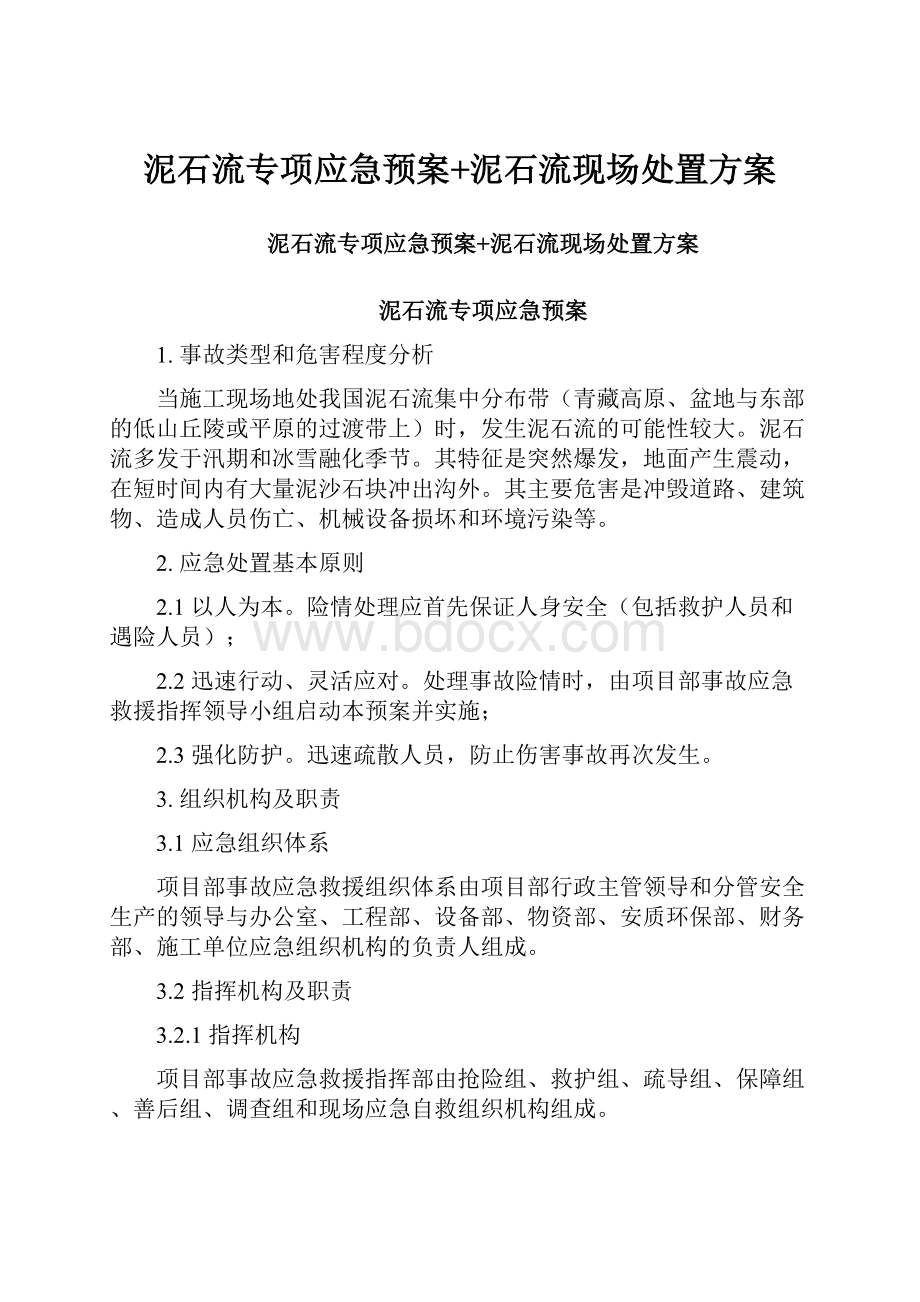 泥石流专项应急预案+泥石流现场处置方案.docx