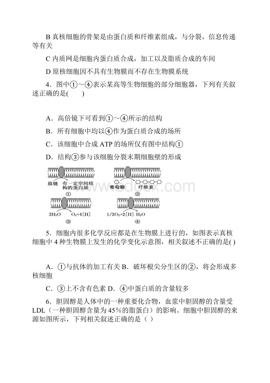 湖南省邵阳市邵东县创新实验学校届高三上学期第一次月考生物试题 Word版含答案.docx_第2页