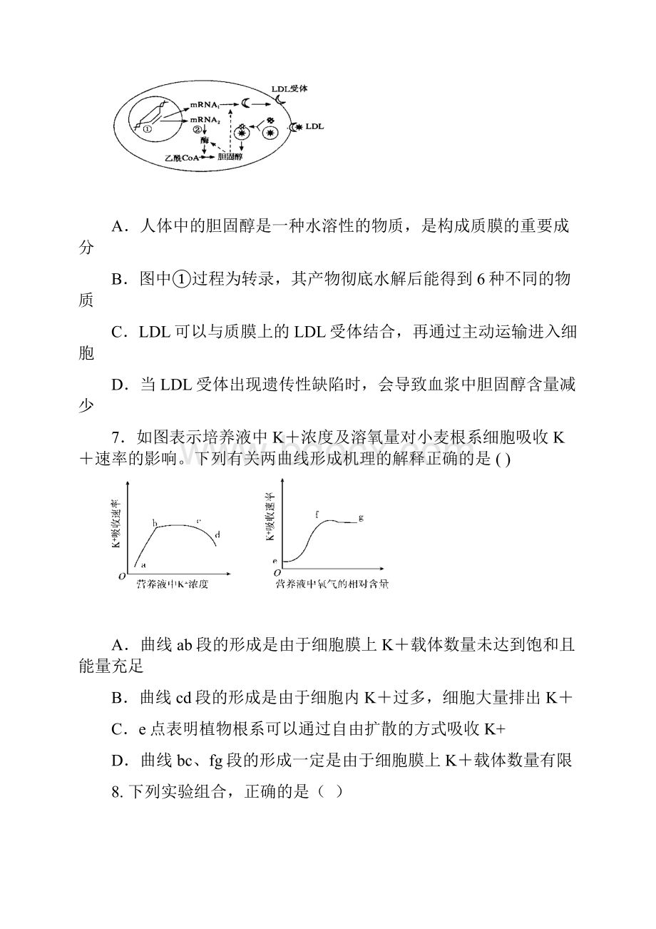 湖南省邵阳市邵东县创新实验学校届高三上学期第一次月考生物试题 Word版含答案.docx_第3页