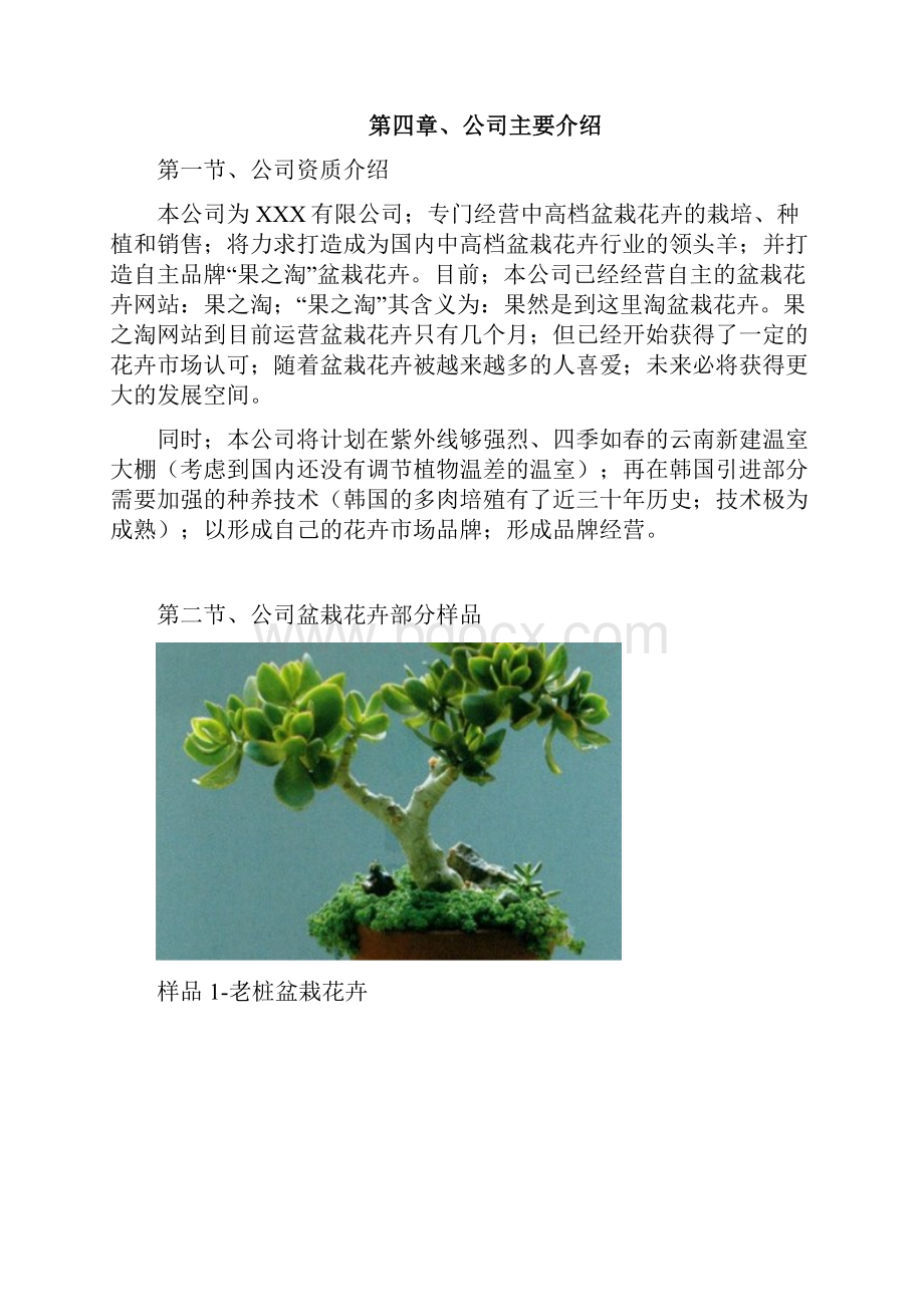 中高端盆栽花卉网站融资经营项目商业计划书确任稿.docx_第3页