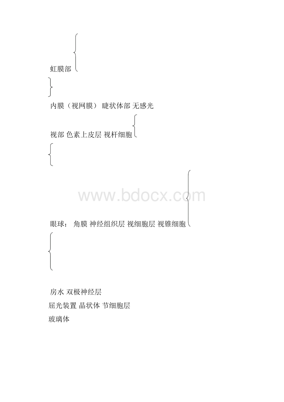 第一章眼的解剖结构.docx_第2页