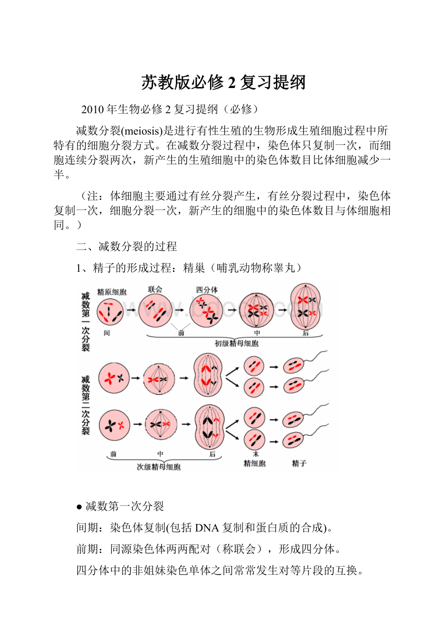 苏教版必修2复习提纲.docx