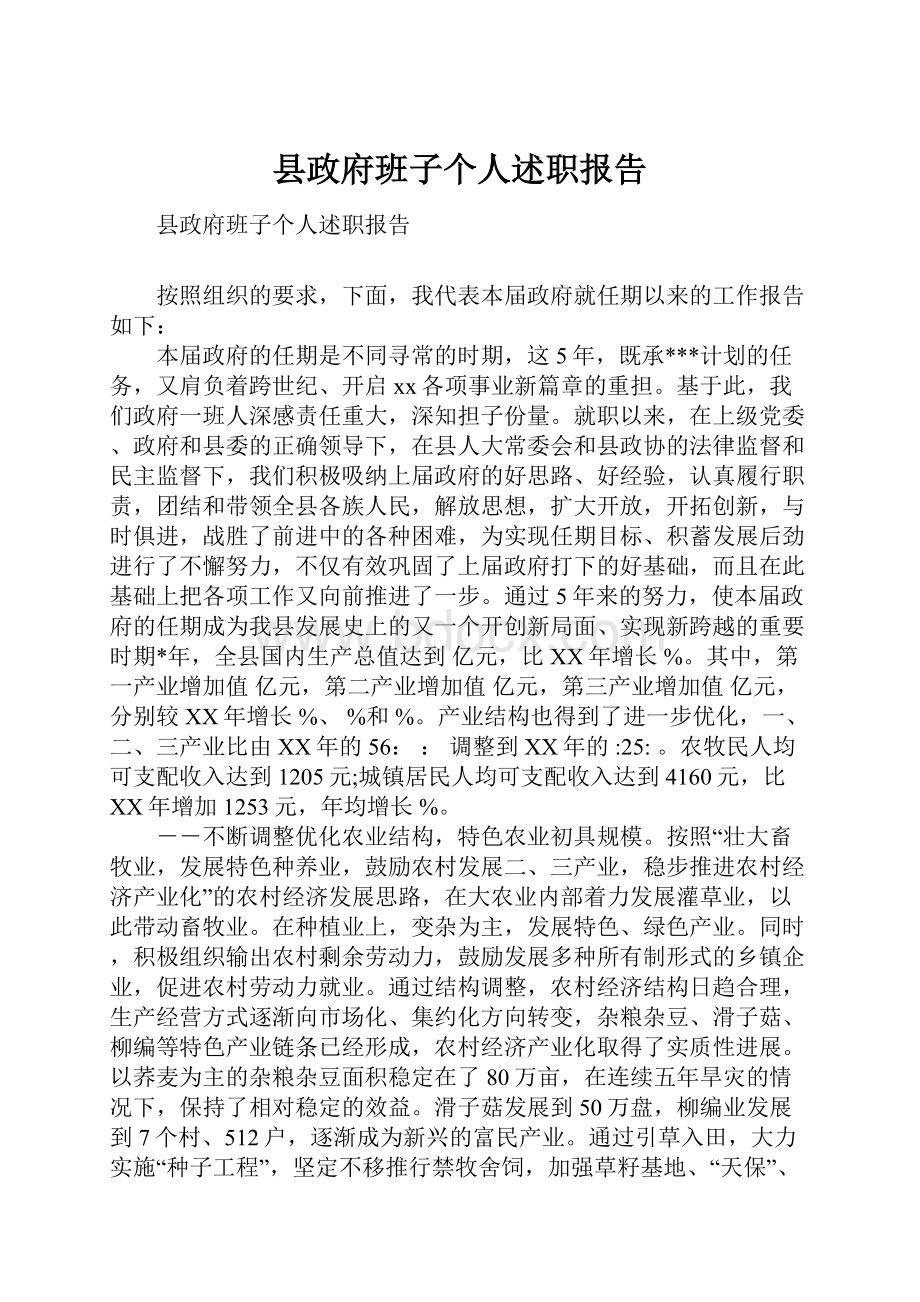 县政府班子个人述职报告.docx_第1页