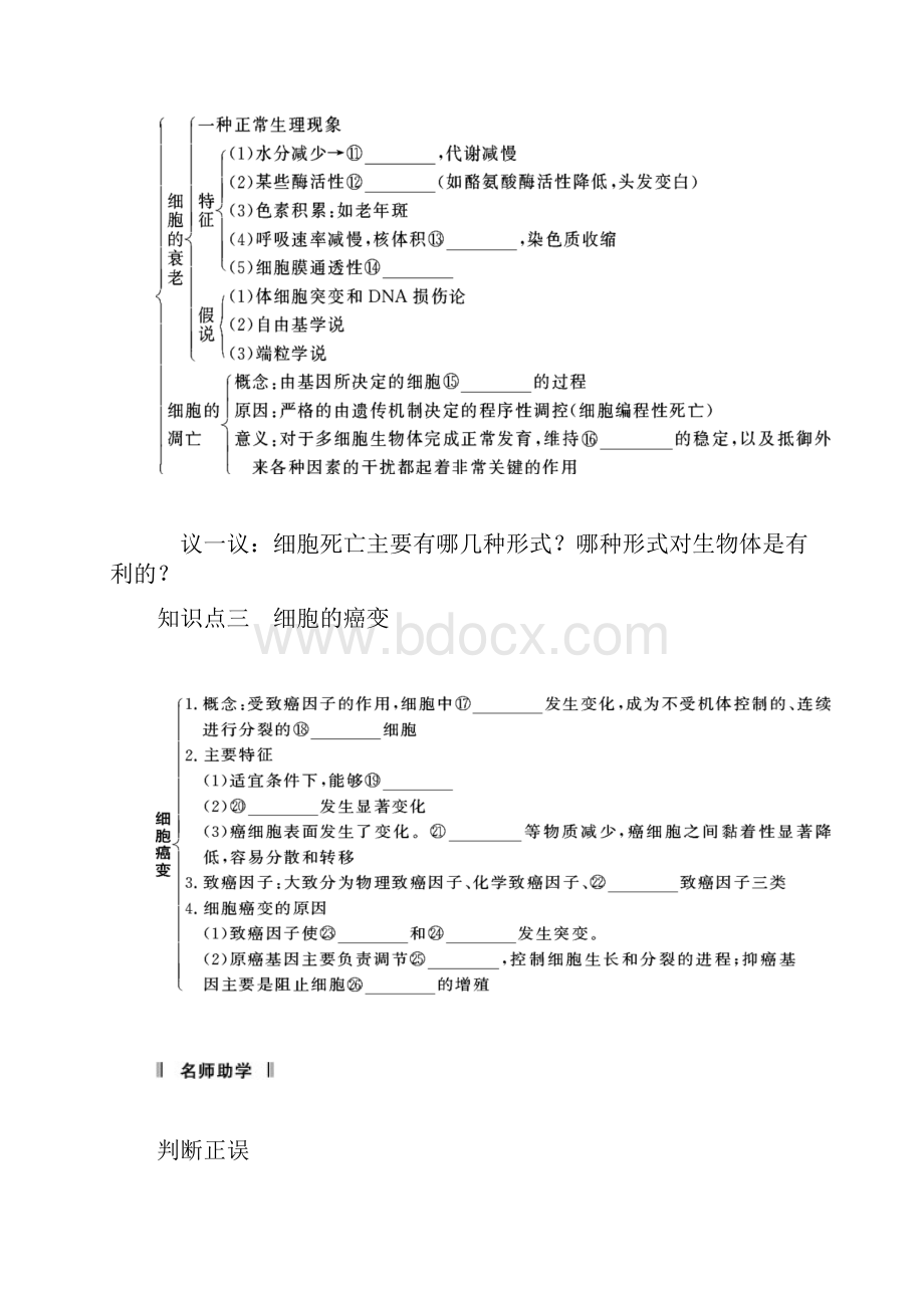 高三生物一轮复习知识点归纳与总结42 细胞的分化.docx_第2页