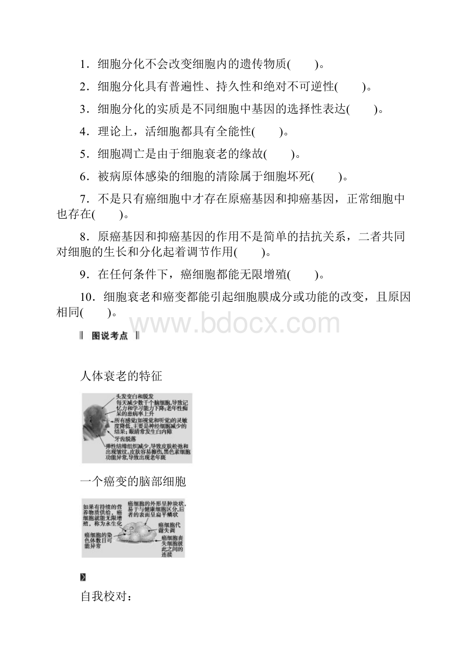 高三生物一轮复习知识点归纳与总结42 细胞的分化.docx_第3页