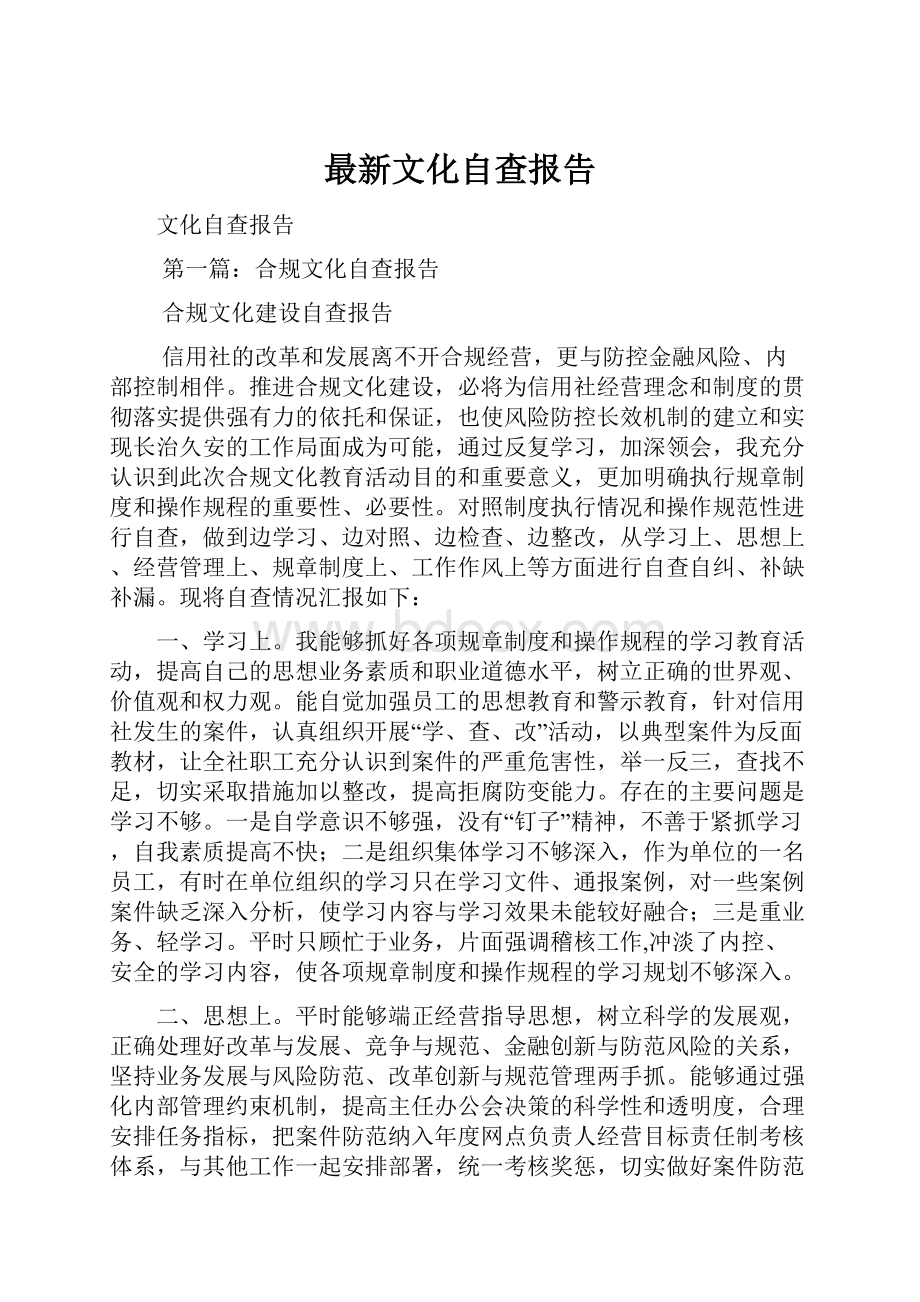 最新文化自查报告.docx_第1页