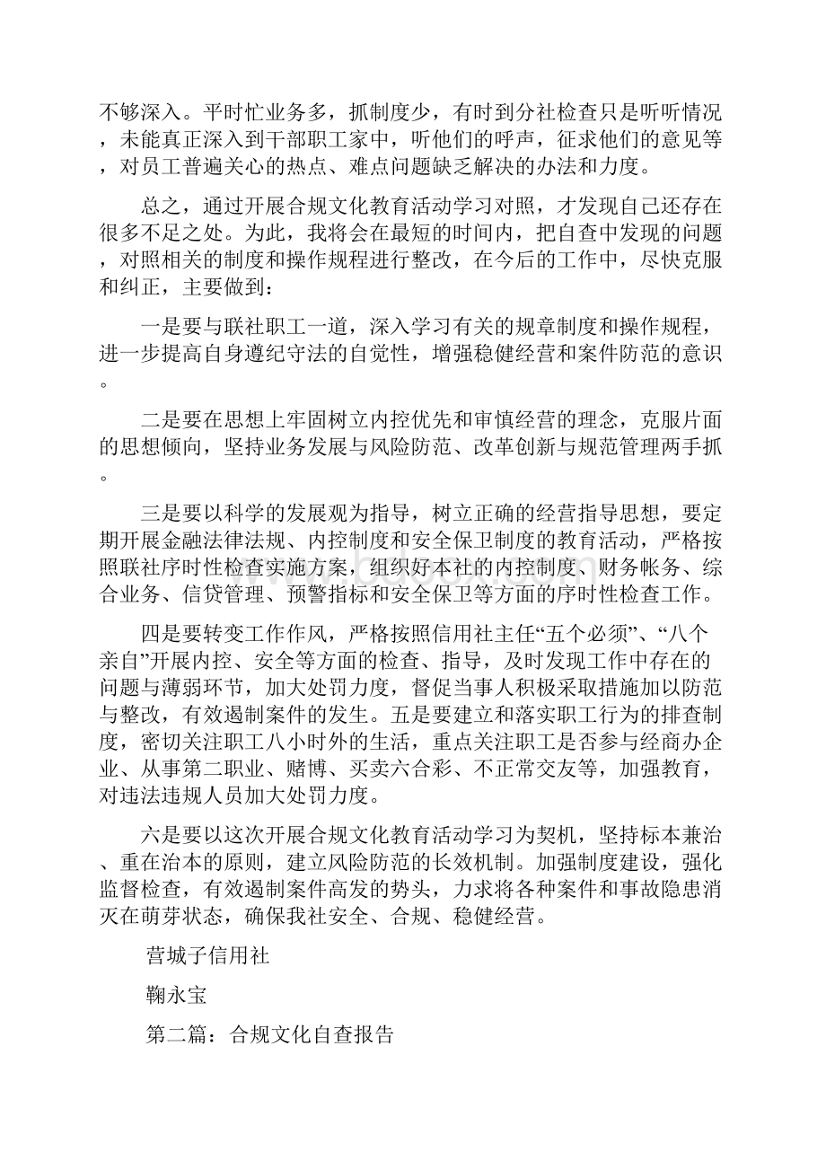 最新文化自查报告.docx_第3页