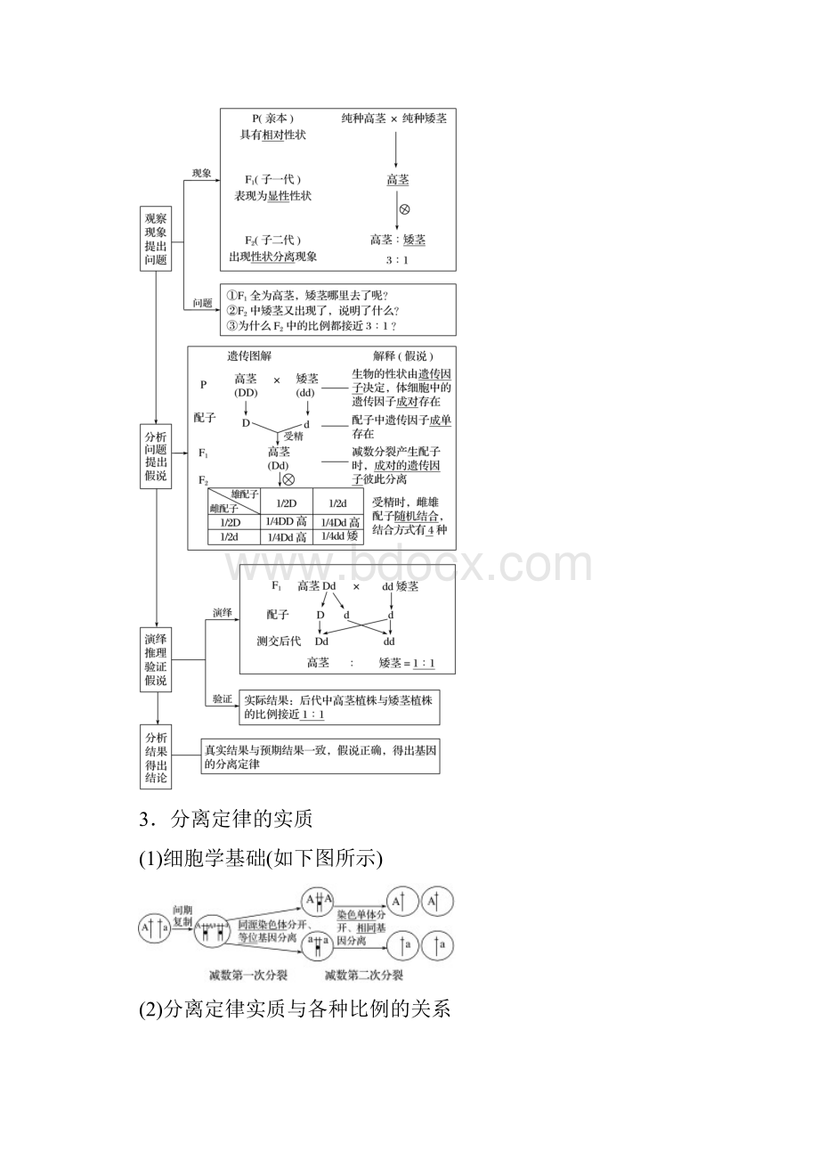 高考生物复习题基因的传递规律基因的分离定律讲义.docx_第3页