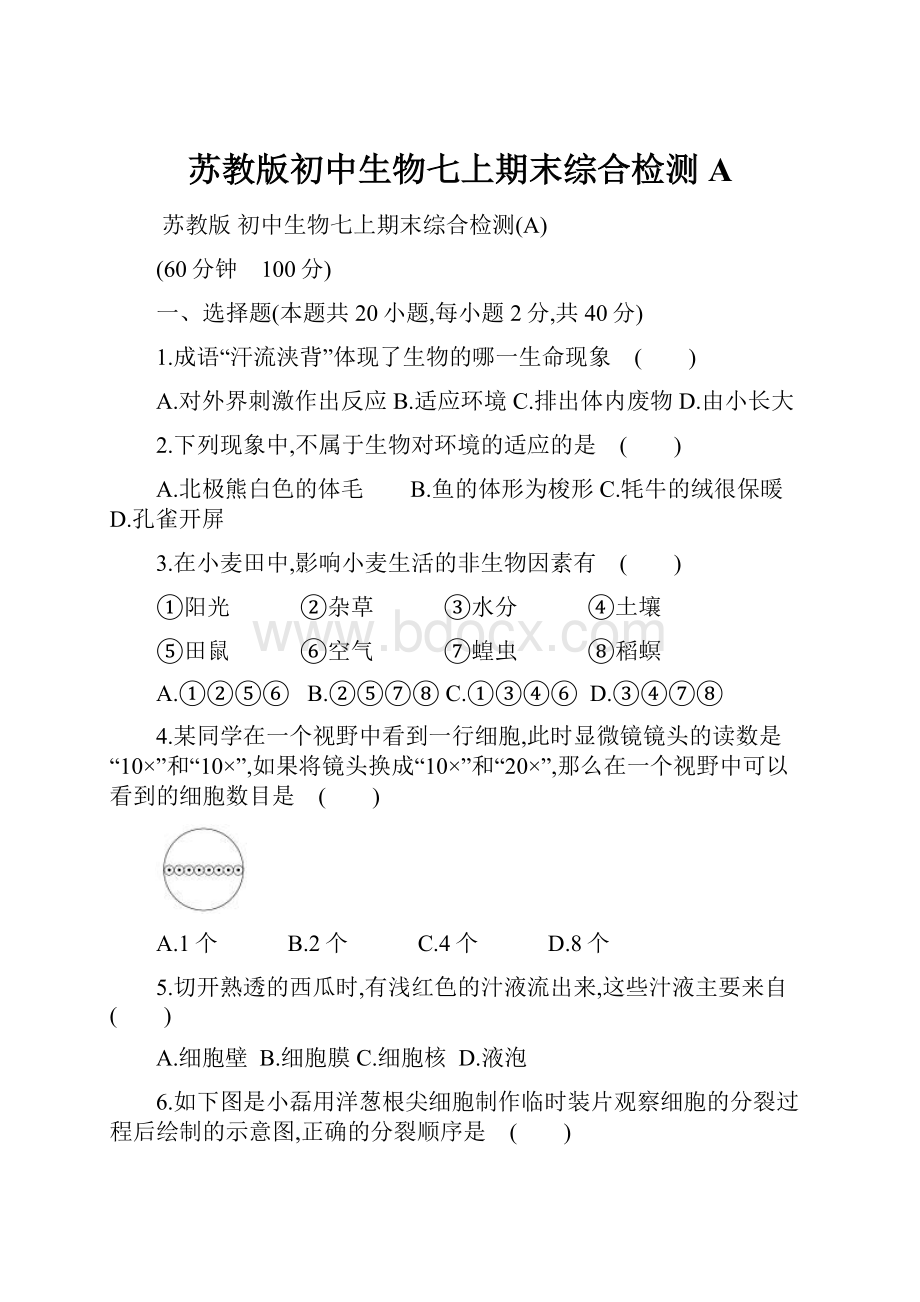 苏教版初中生物七上期末综合检测A.docx_第1页