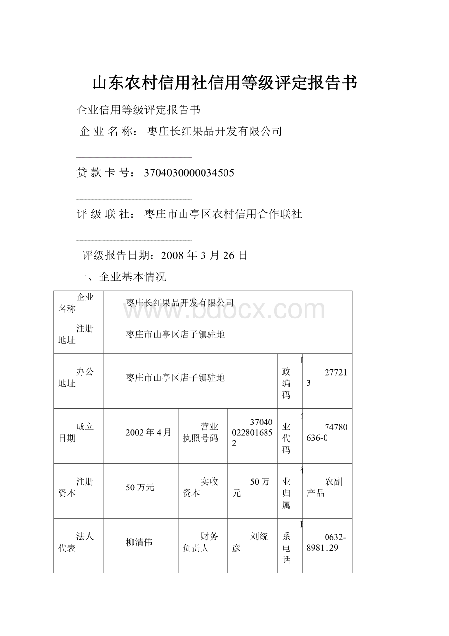 山东农村信用社信用等级评定报告书.docx