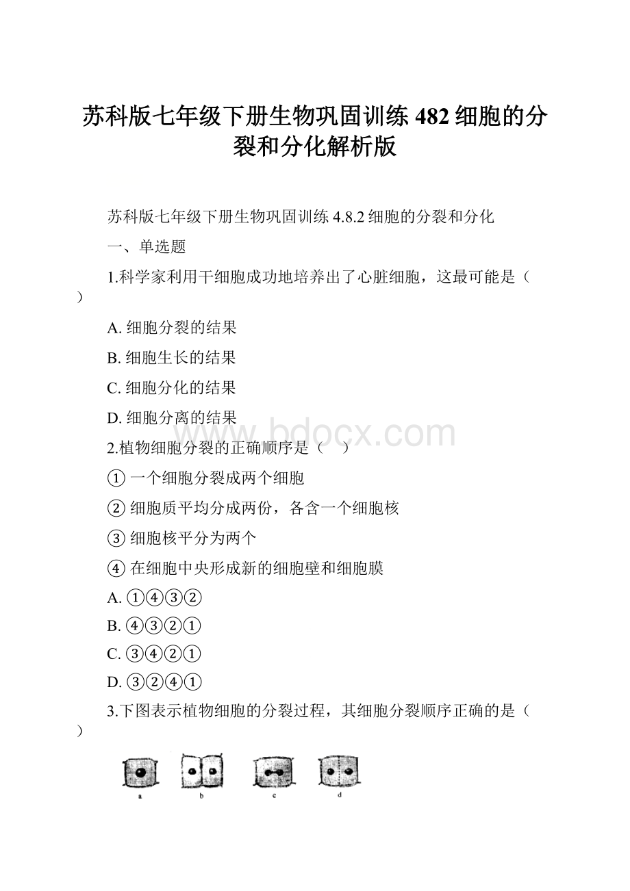 苏科版七年级下册生物巩固训练 482细胞的分裂和分化解析版.docx