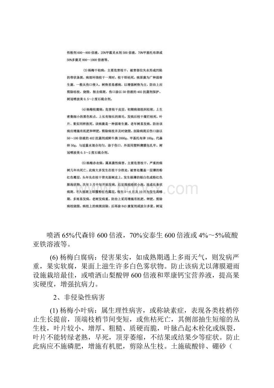 杨梅主要病虫害及防治.docx_第3页