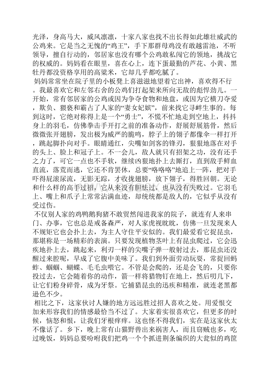 我家的那只大红公鸡散文.docx_第2页