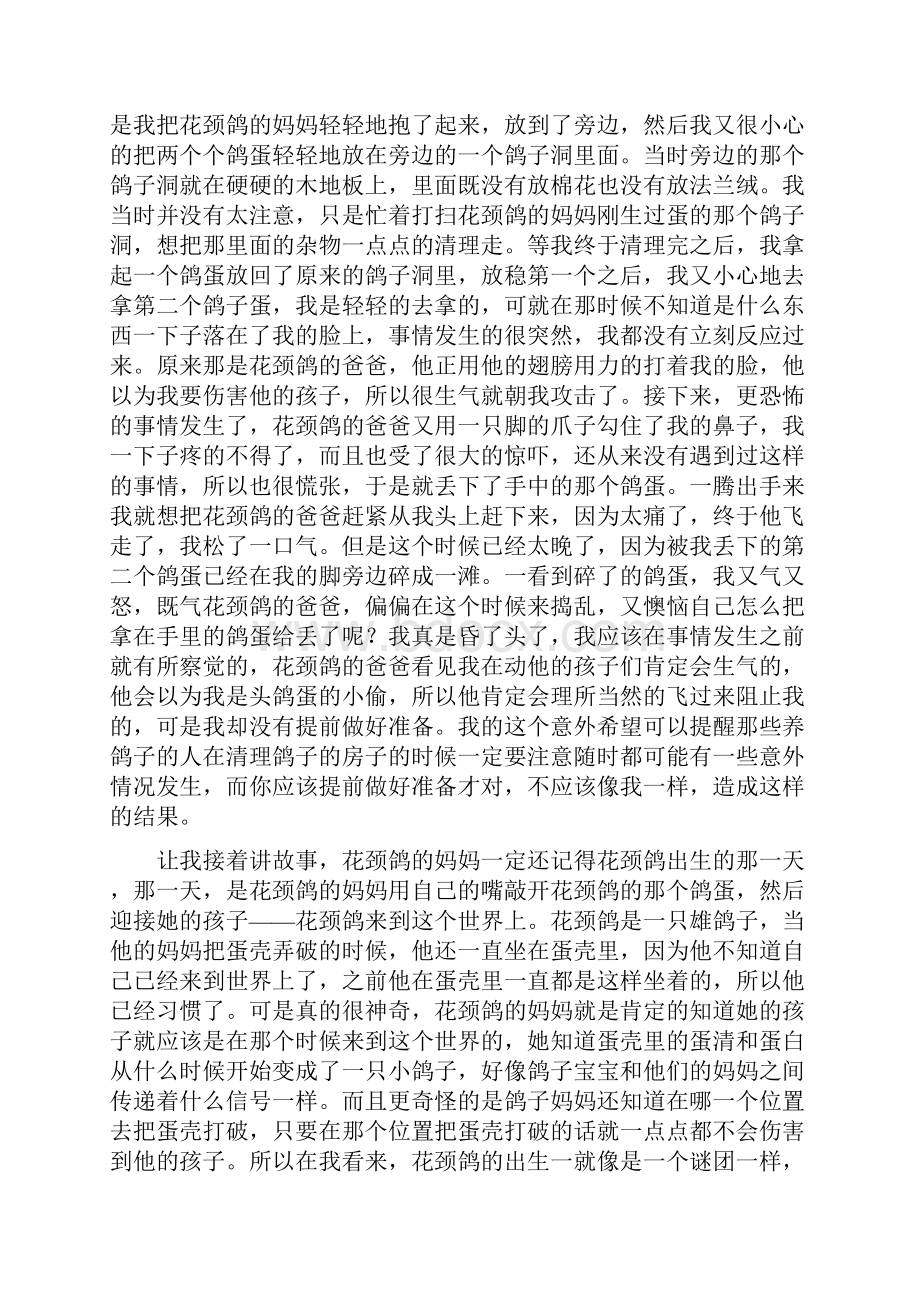 花颈鸽纽伯瑞儿童文学奖作品.docx_第3页