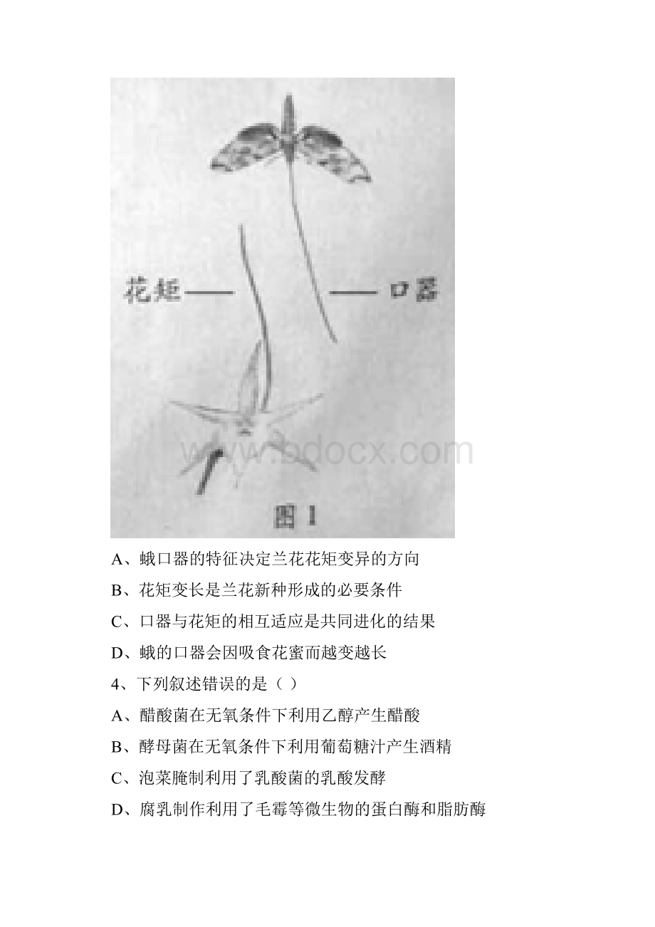 最新广东卷高考生物真题及答案 解析精品推荐.docx_第2页