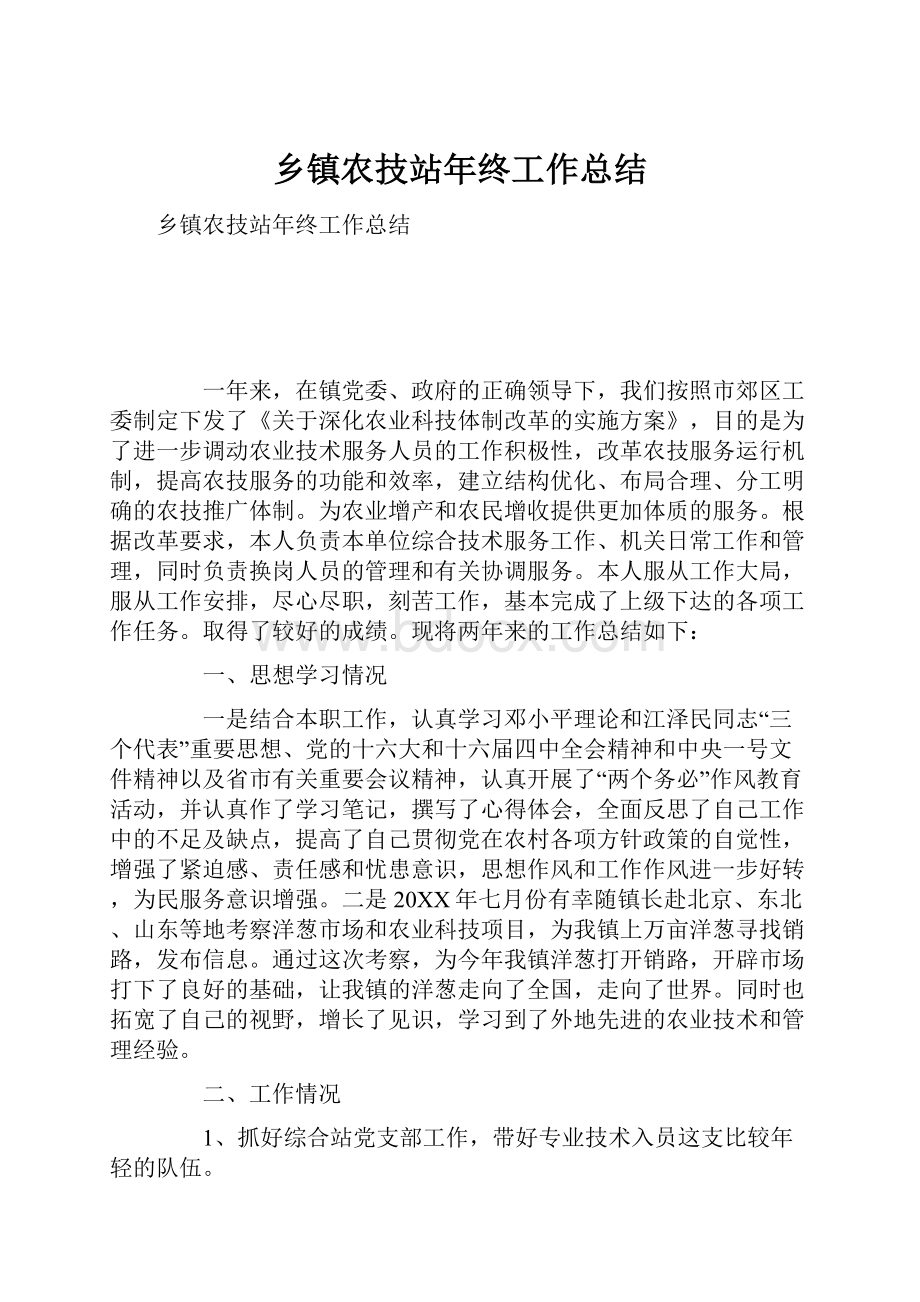 乡镇农技站年终工作总结.docx