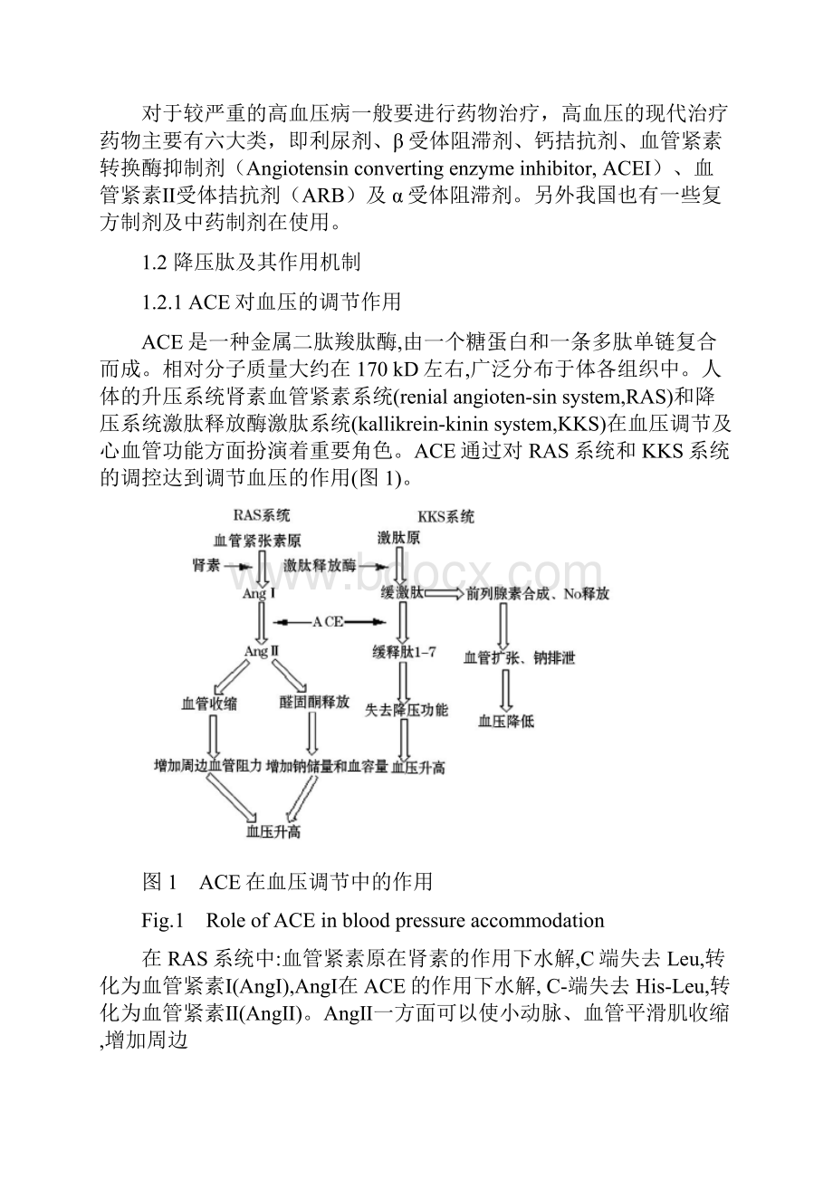 食品科学专业毕业论文的文献综述.docx_第2页