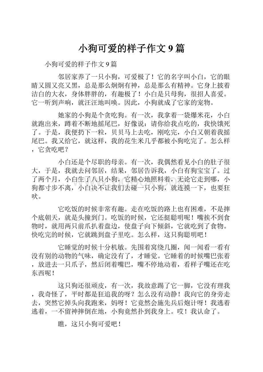 小狗可爱的样子作文9篇.docx