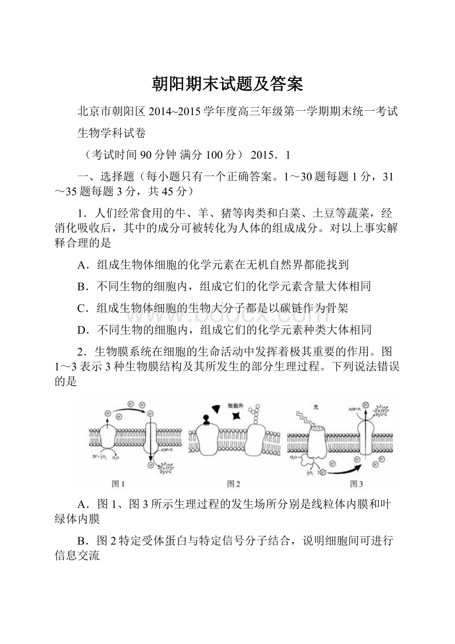 朝阳期末试题及答案.docx_第1页