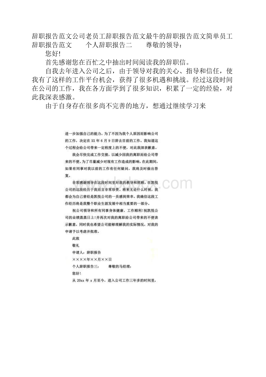 个人辞职报告范文大全.docx_第2页