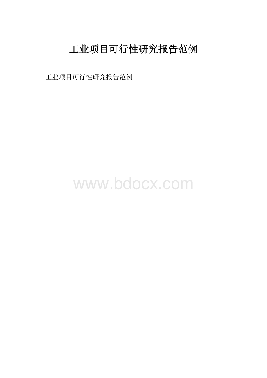 工业项目可行性研究报告范例.docx_第1页