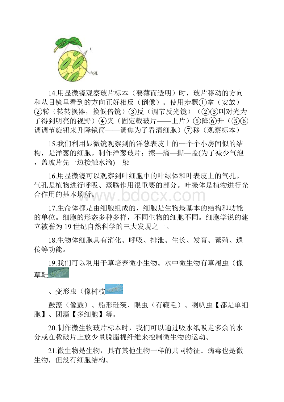 六年级下册科学知识点浙教版新.docx_第3页