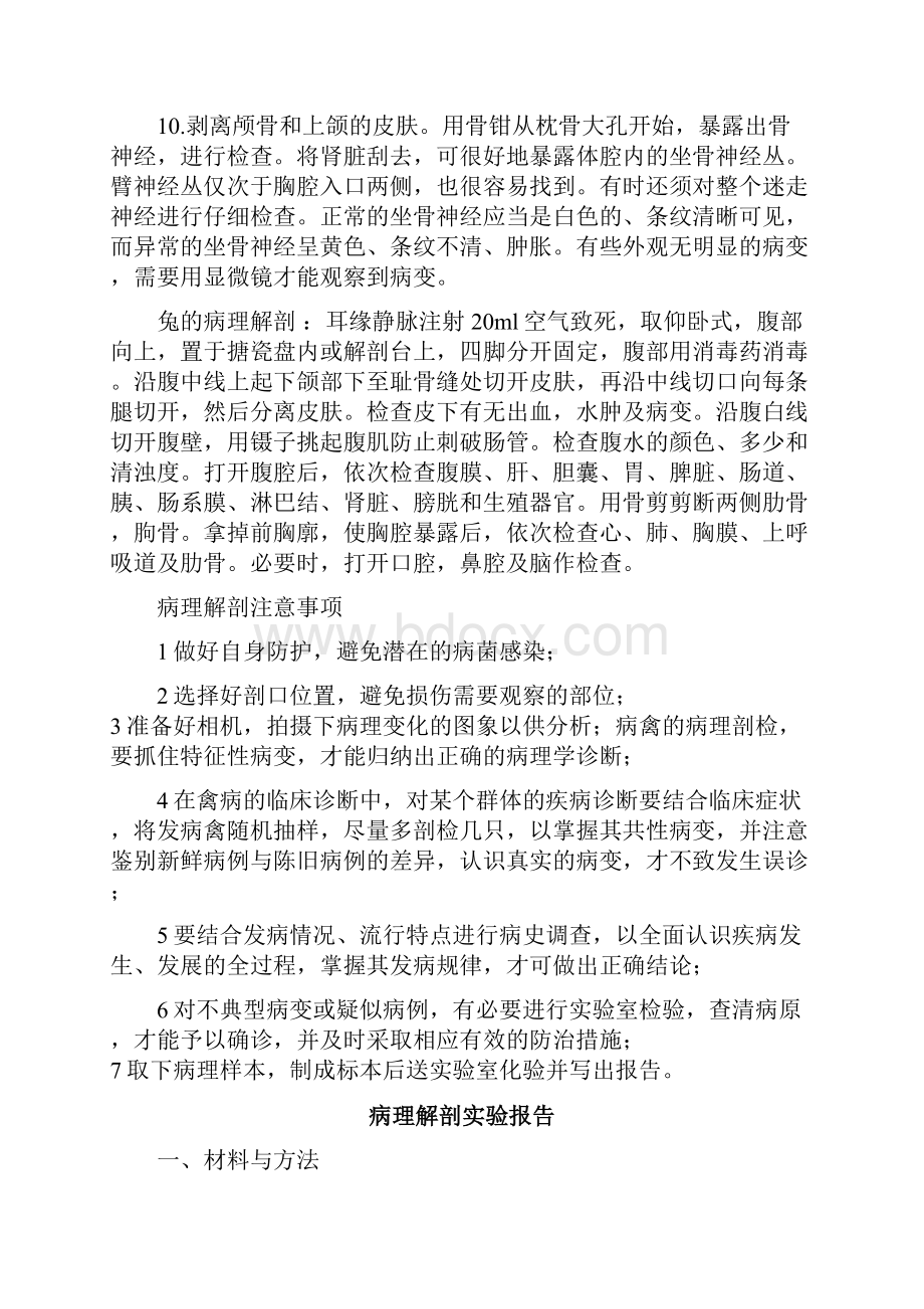 病理解剖分析报告.docx_第3页